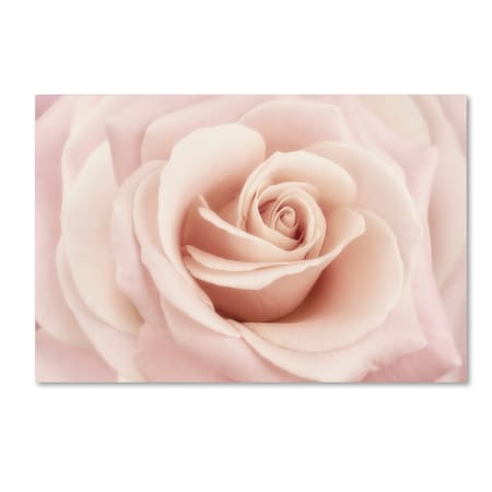 ROSE☆ROSE Trademark Fine Art Cora Niele 'Peach Pink Rose' Canvas Art